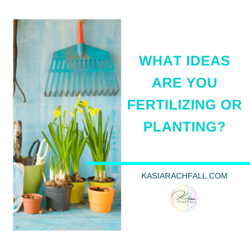 What ideas are you fertilizing or planting? | Kasia Rachfall